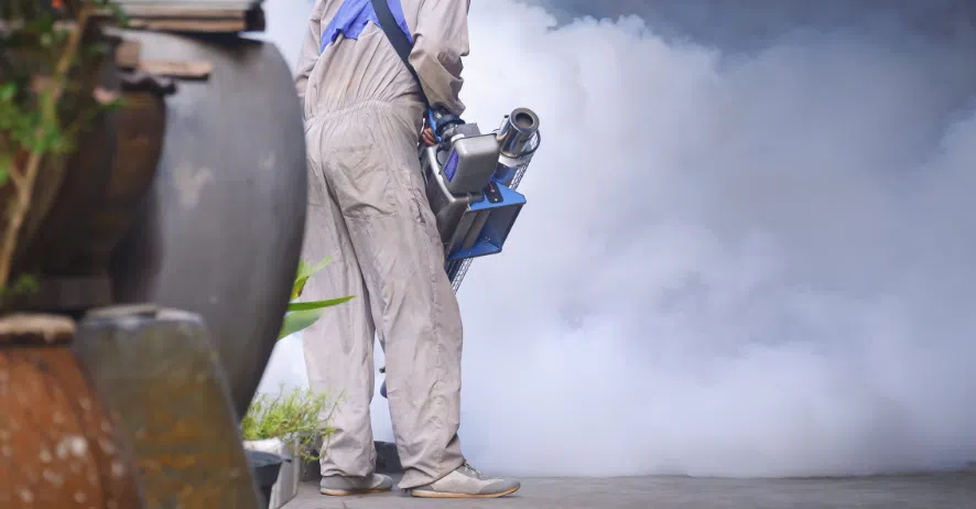 Ecoplus-Flies-Mosquito-Control-Dubai-UAE Ecoplus-Flies-Mosquito-Control-Dubai-UAE