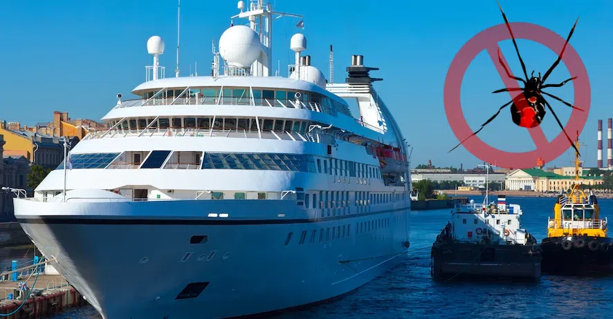 Ecoplus-Ship-Yacht-Pest-Control-Dubai Ecoplus-Ship-Yacht-Pest-Control-Dubai